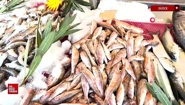 Karadeniz'de palamut sezonu yeniden açıldı