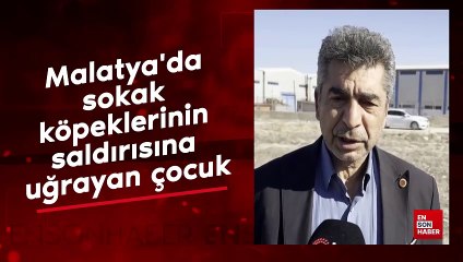 Malatya'da sokak köpeklerinin saldırısına uğrayan çocuk