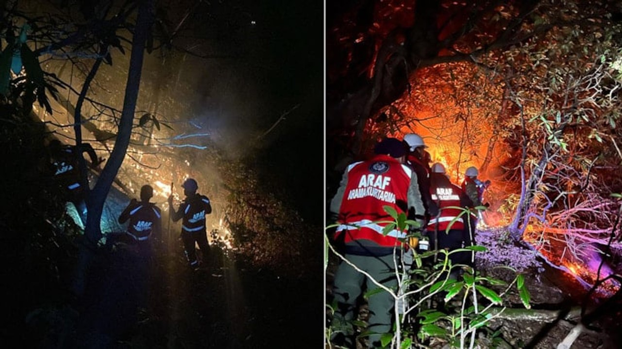 Rize'de anız yangını ormana sıçradı!