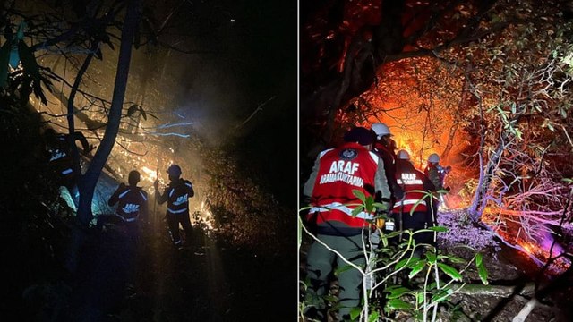Rize'de anız yangını ormana sıçradı!