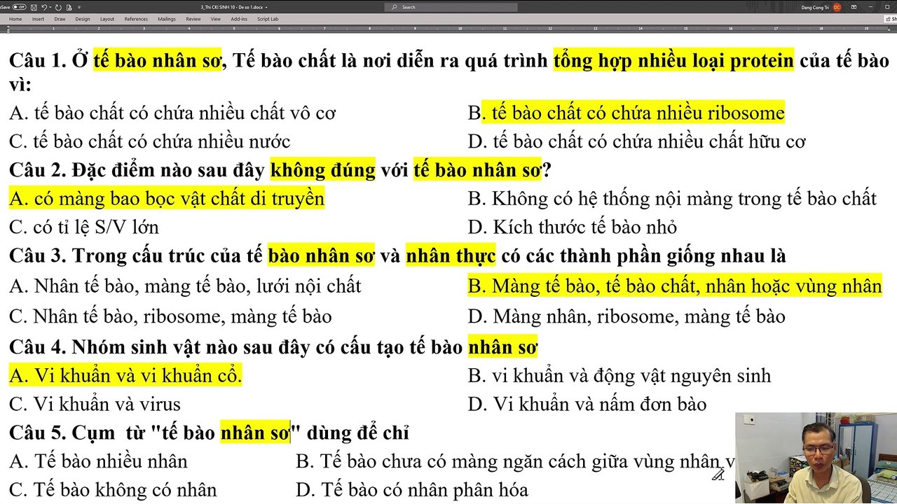 Sinh 10 - CK I 2024 - 2025