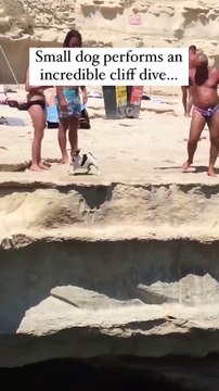 El increíble salto de un perro en una playa que deja a todos los bañistas sin palabras