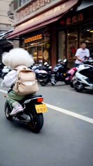 Dog and roaster story best