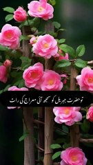 Al-Quraan recitation and translation