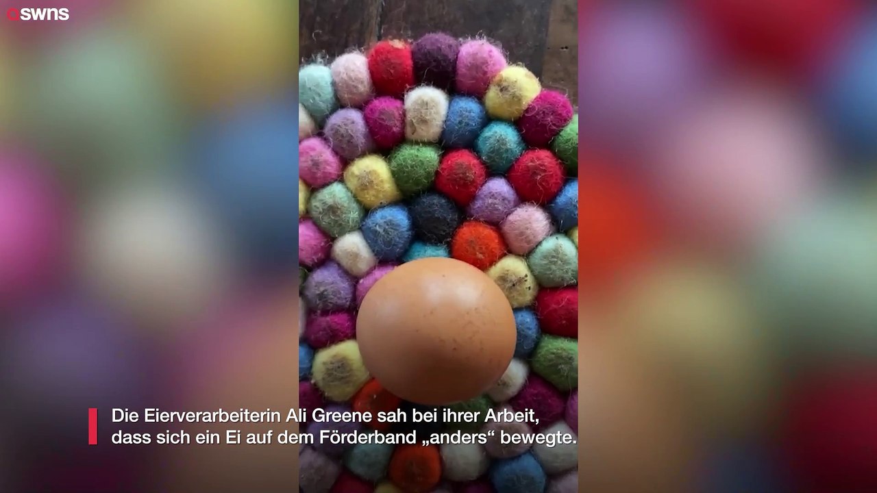 Seltenes kugelförmiges Ei - „eins in einer Milliarde“ - auf Bauernhof gefunden