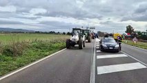 Grosseto, riprende la protesta dei trattori