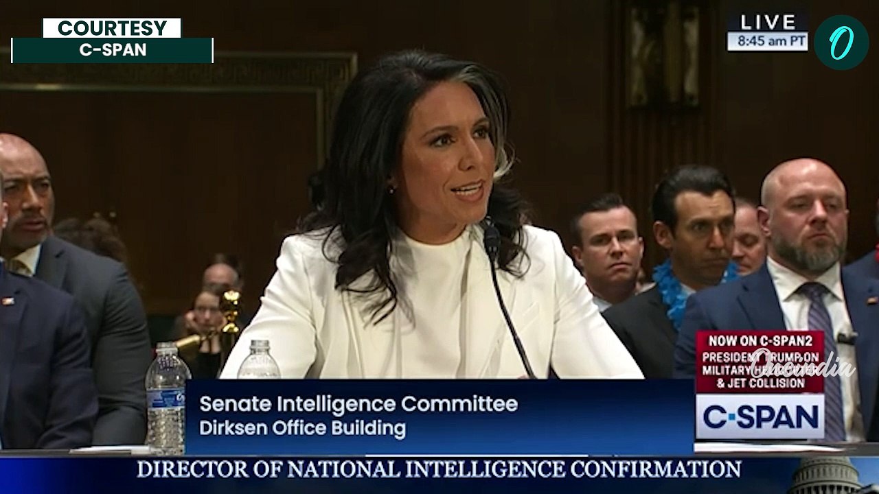 Tulsi Gabbard, Trump’s Intel Chief Nominee, Grilled Over Putin and Ukraine | Watch Fiery Exchange
