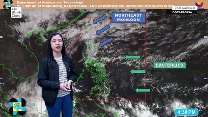 Today's Weather, 4 P.M. | Jan. 31, 2025