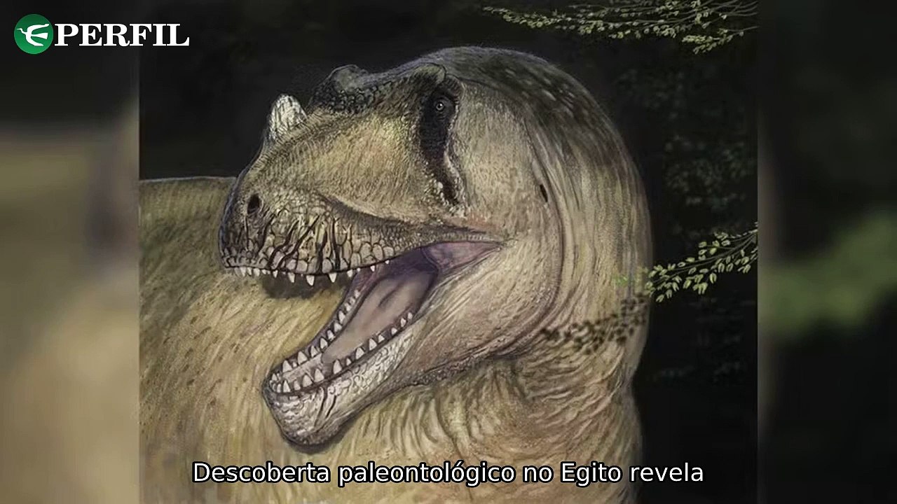 "Ressurreição de dinossauro egípcio revela segredos dos anéis de terra australianos e milagre de Juazeiro"