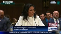 'Is Edward Snowden A Traitor?': Tulsi Gabbard Fiery Clash as Senator Repeatedly Asks For An Answer