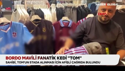 Bordo mavili fanatik kedi “Tom” için sahibi afişli çağrıda bulundu: Stada alınsın