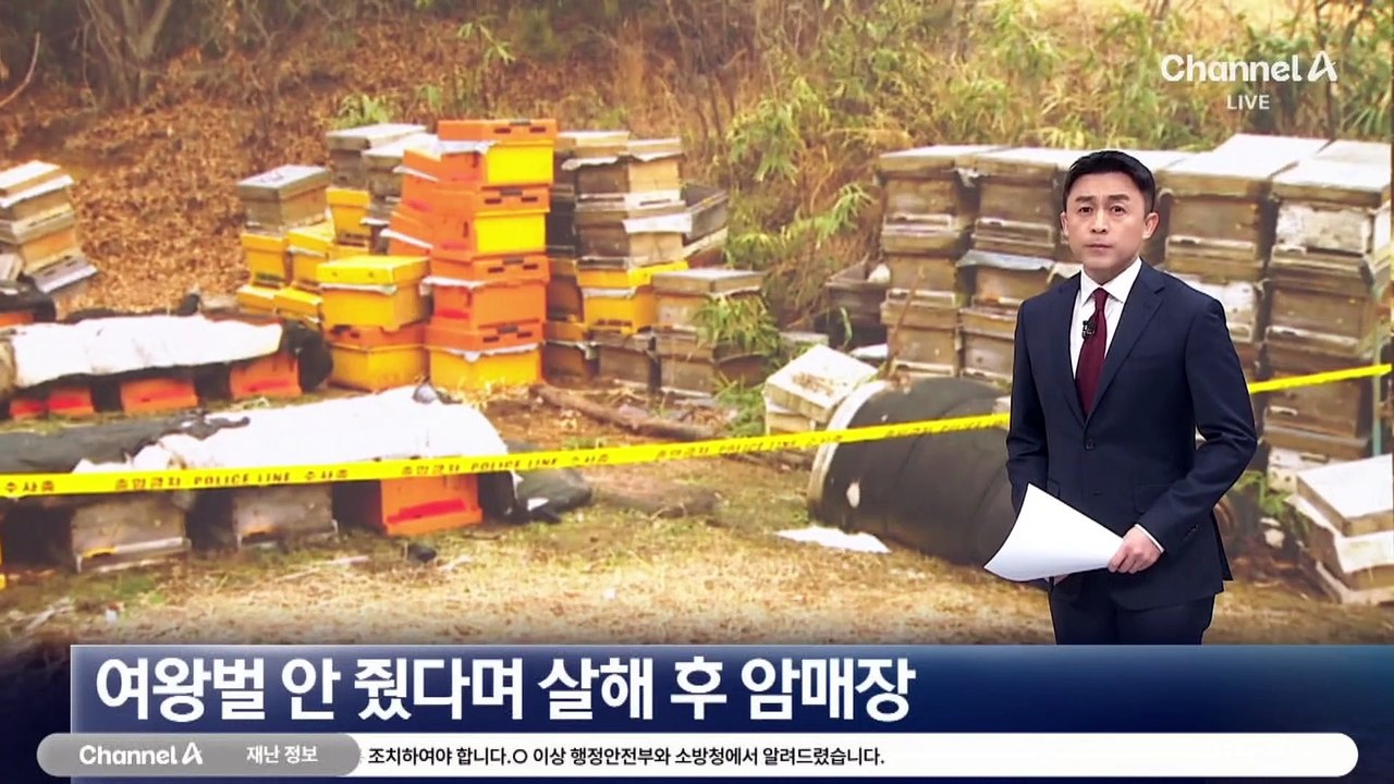 벌통에 여왕벌 없다며…양봉업자 살해 후 암매장