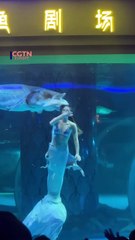 ‘Mermaid’ attacked by huge fish!