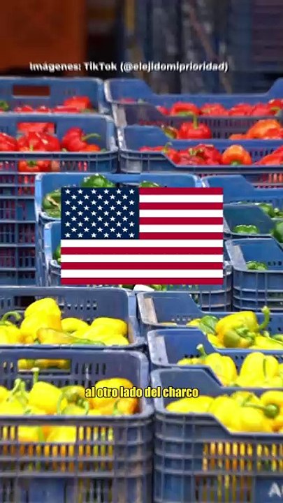 EE.UU cierra sus fronteras al pimiento español y paraliza su importación