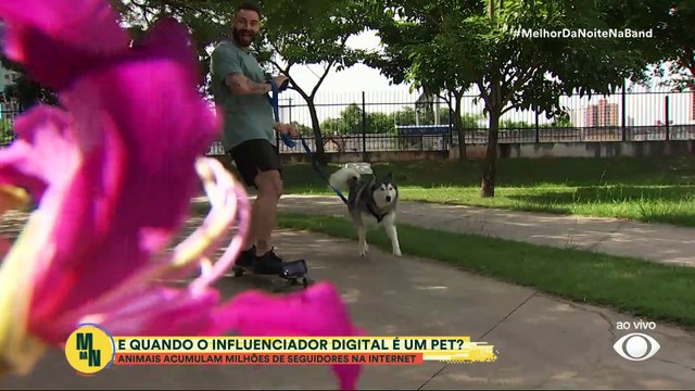 Pets influenciadores: animais acumulam milhões de seguidores | Melhor da Noite