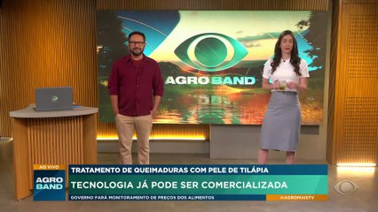 Anvisa Approves Use of Tilapia Skin for Burn Treatment 🩹