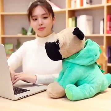 Yangzhou New Sunrise Factory wholesale soft shapeshift plush toy dog shar pei funny transform raccoon dog stuffed animal