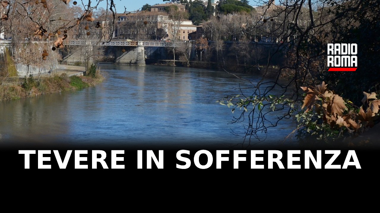 Il Tevere tra inquinamento, detriti e scarichi abusivi: è allarme per il fiume di Roma