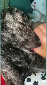 Feeling familiar😆