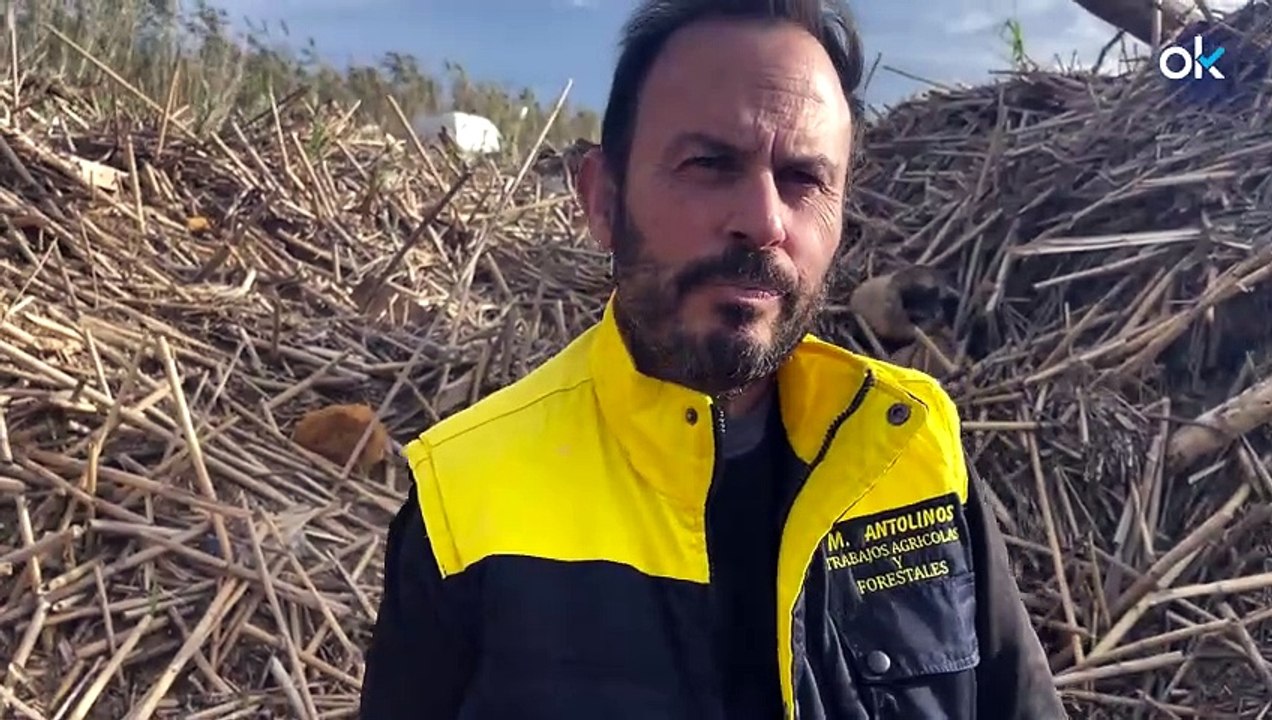 Así sigue el barranco del Poyo 3 meses después de la DANA: "El Gobierno no ha limpiado nada"
