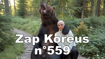 Zap Koreus n°559