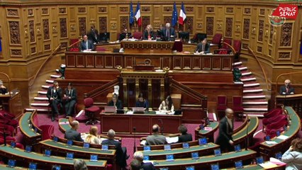 Après la polémique, le spectacle nocturne du Puy du Fou "sera éligible" au Pass culture