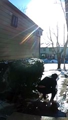 Man Slips and Falls on Icy Stairs in Staten Island, New York