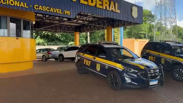 PRF apreende grande carga de anabolizantes em Cascavel