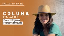 Cavalus no Dia Dia: biotecnologia na reprodução equina