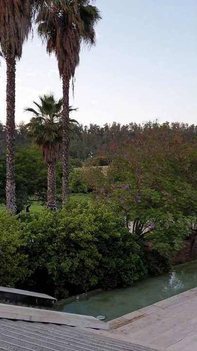 A Walk Through Bicentenario Park 🇨🇱