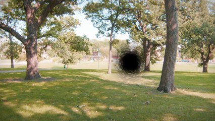 AJ Goes to the Dog Park - Teaser