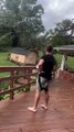 Tennessee: Man’s bold hurricane stunt turns funny as his dog gets caught in trash bin trouble