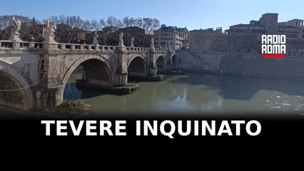 Tevere soffocato dai veleni: "Colpa degli scarichi abusivi"