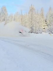 Arctic Rally 2025 Herranen Huge Crash Rolls