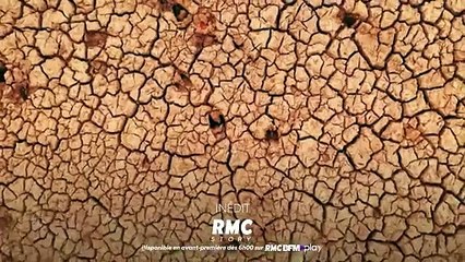 Retour à l'instinct primaire : Restons groupés