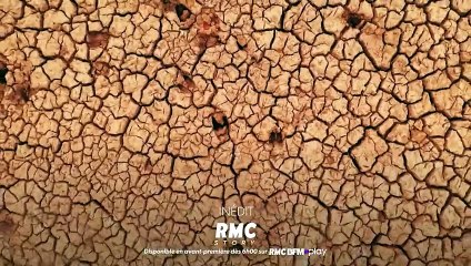 Retour à l'instinct primaire : Restons groupés