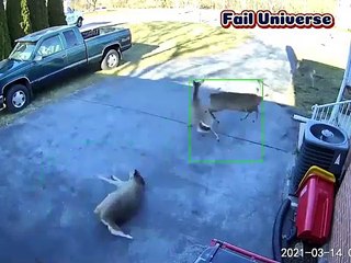 Best Fails Of, the Decade Fail Universe 😆