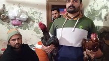 VID-20250101-WA0004