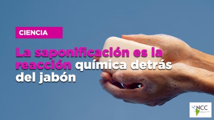 La saponificación es la reacción química detrás del jabón