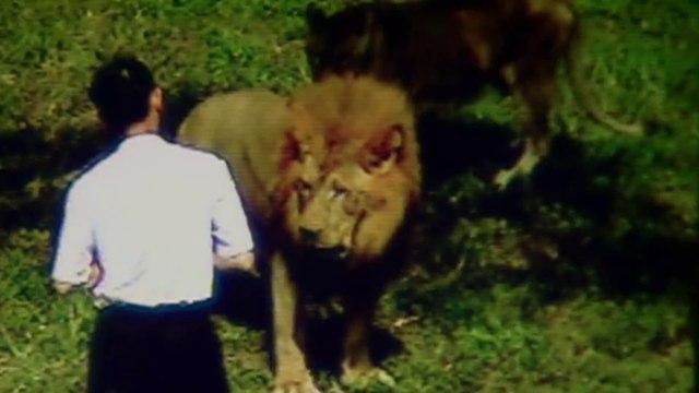 Los 10 Ataques Monstruosos Más Feroces
