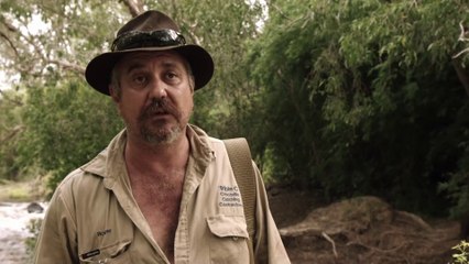 Cocodrilos Asesinos: La Amenaza Creciente en Australia