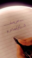 #lines_#sadurdu_#standwithkashmer_#ghazal_#urdupoetry_#2line_#urdupoetry_#2linepoetr(720p)