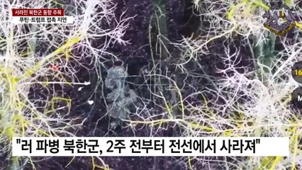 "북한군, 2주 전부터 전선서 사라져"...푸틴·트럼프 접촉 늦어지나 / YTN
