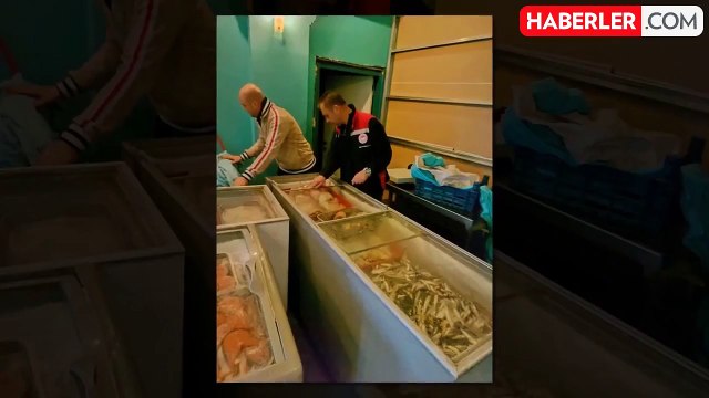 Mide bulandıran görüntü: Tonlarca bozuk et ve balık ele geçirildi