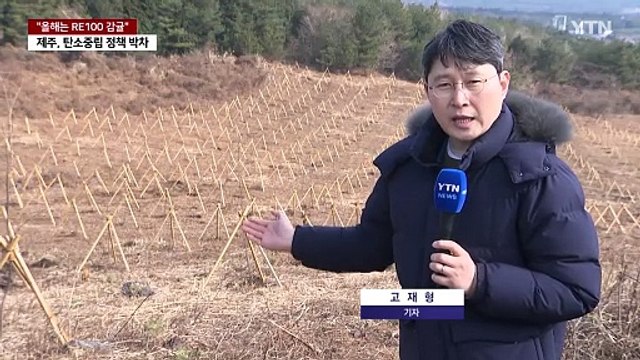 올해는 RE100 감귤 ...제주도, 탄소 중립 정책 박차 / YTN