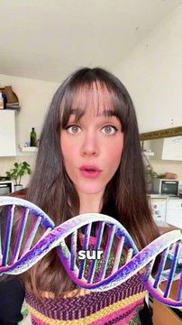 💡A ton avis, sommes nous tous cousins ? Savais tu que la personne avec tu dors, avec qui tu manges le midi à la cantine, que tu klaxonnes et traité de tous les noms au feu rouge est en fait… DE TA FAMILLE !