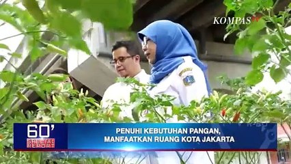 Urban Farming Jadi Solusi Penuhi Kebutuhan Pangan, Bagaimana di Jakarta? - SPECIAL REPORT