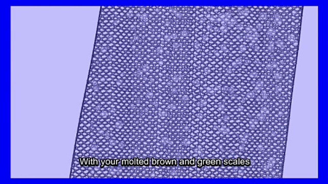 Why It Sucks to Be Born as a Komodo Dragon #komodo #dragon