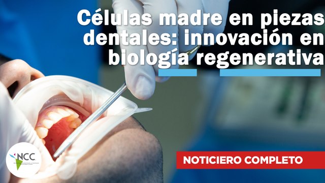 Células madre en piezas dentales: innovación en biología regenerativa | 731 | 3 - 9 febrero de 2025