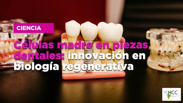 Células madre en piezas dentales: innovación en biología regenerativa